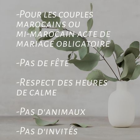 Yacout Appartement Majorelle 마라케시 외부 사진
